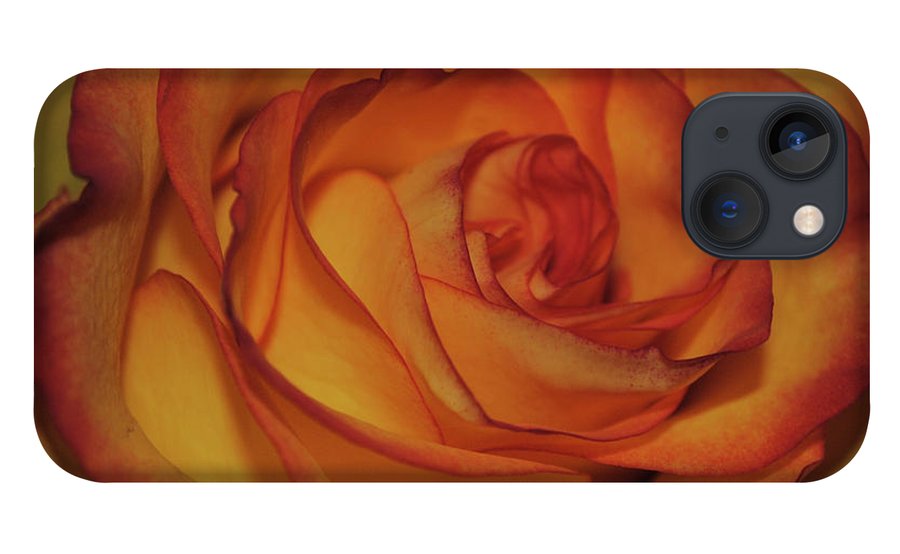 Orange Rose Portrait - Phone Case
