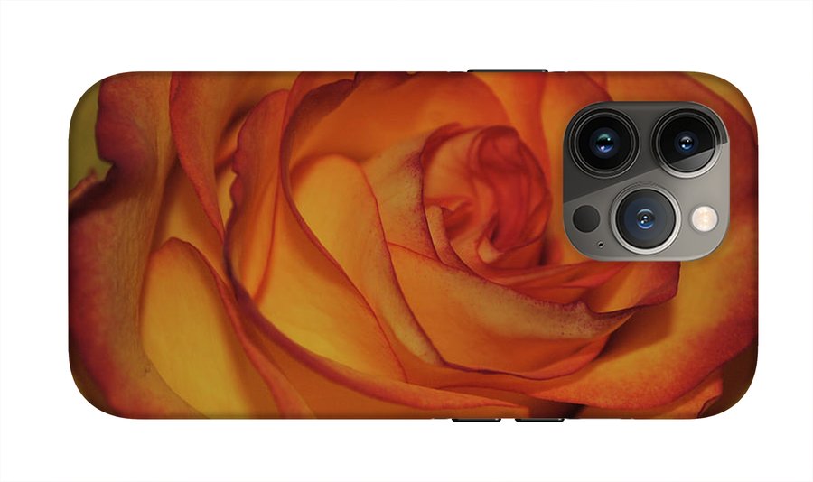 Orange Rose Portrait - Phone Case