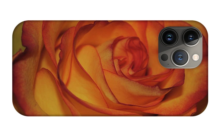 Orange Rose Portrait - Phone Case