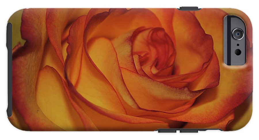 Orange Rose Portrait - Phone Case