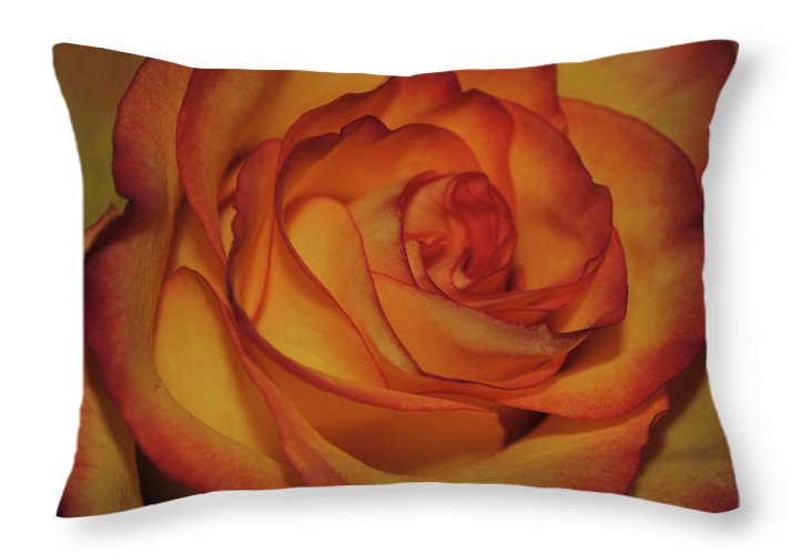 Orange Rose Portrait - Throw Pillow