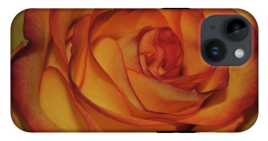 Orange Rose Portrait - Phone Case