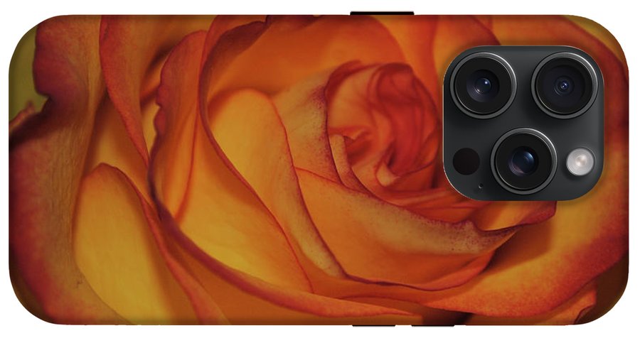 Orange Rose Portrait - Phone Case