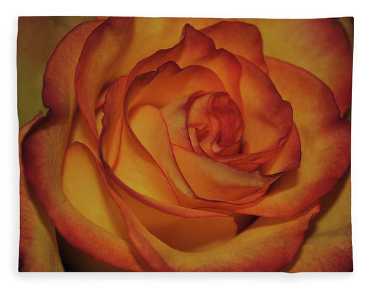 Orange Rose Portrait - Blanket