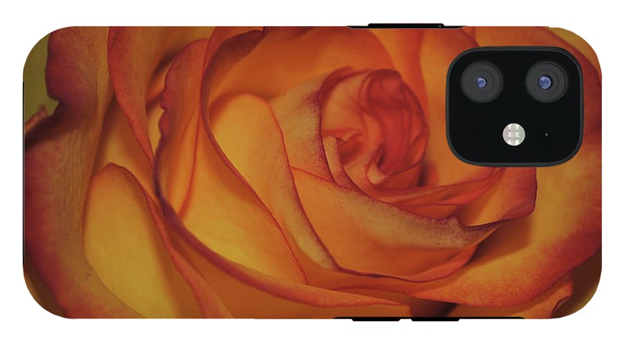 Orange Rose Portrait - Phone Case