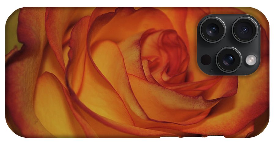 Orange Rose Portrait - Phone Case