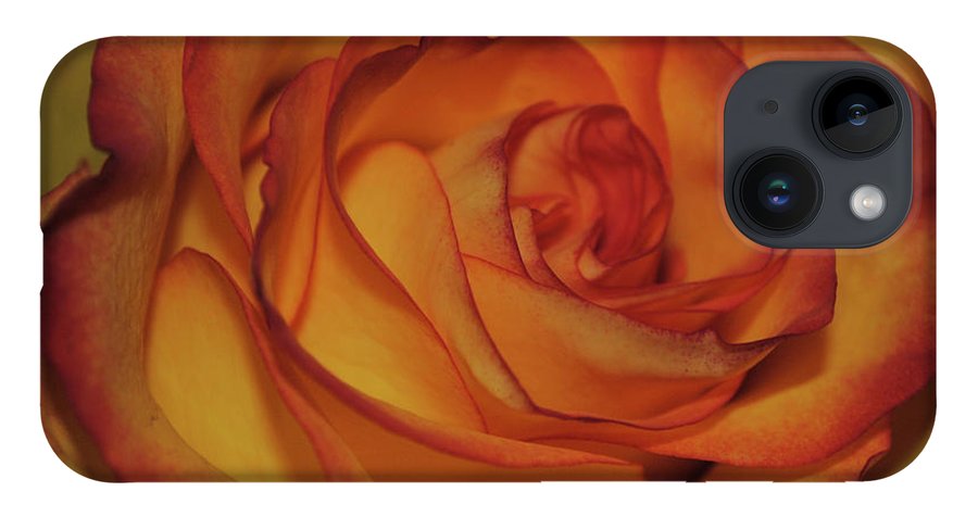 Orange Rose Portrait - Phone Case