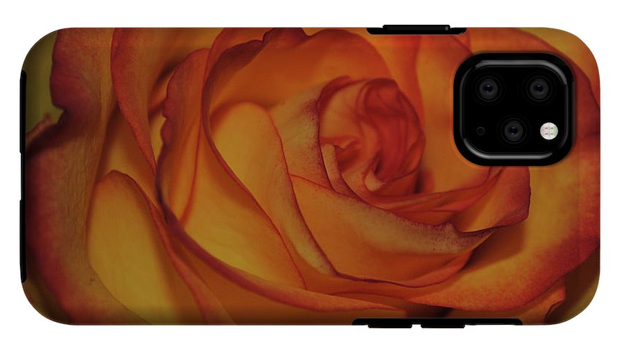 Orange Rose Portrait - Phone Case
