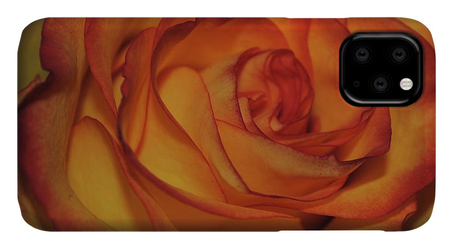 Orange Rose Portrait - Phone Case