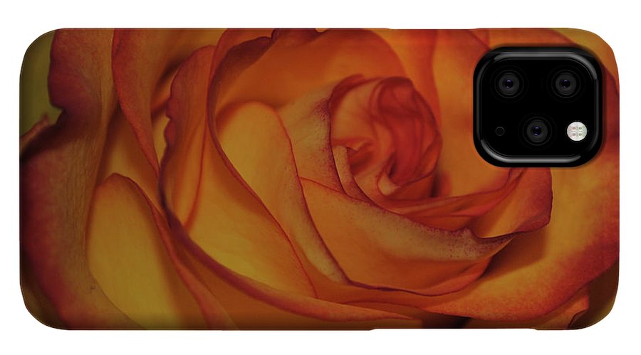 Orange Rose Portrait - Phone Case