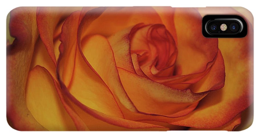Orange Rose Portrait - Phone Case