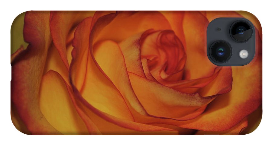 Orange Rose Portrait - Phone Case
