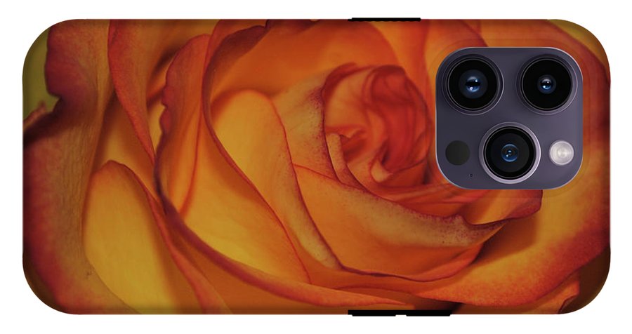 Orange Rose Portrait - Phone Case