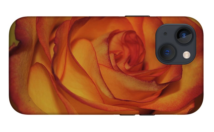 Orange Rose Portrait - Phone Case