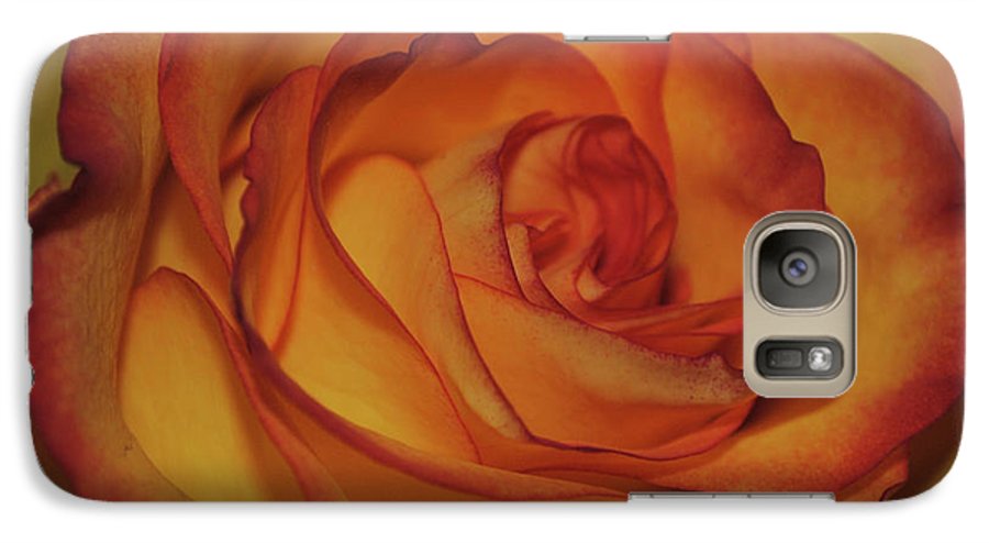Orange Rose Portrait - Phone Case