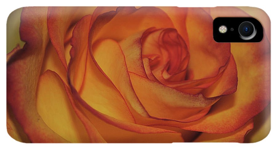 Orange Rose Portrait - Phone Case