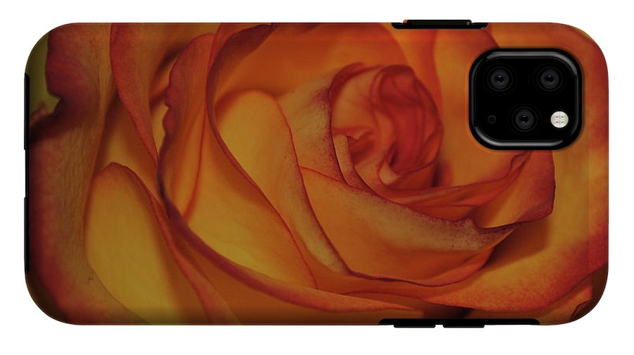 Orange Rose Portrait - Phone Case