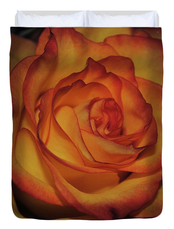 Orange Rose Portrait - Duvet Cover