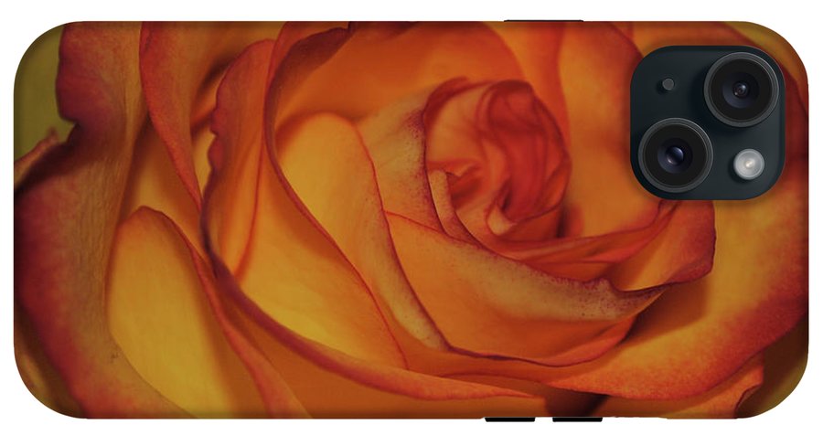 Orange Rose Portrait - Phone Case