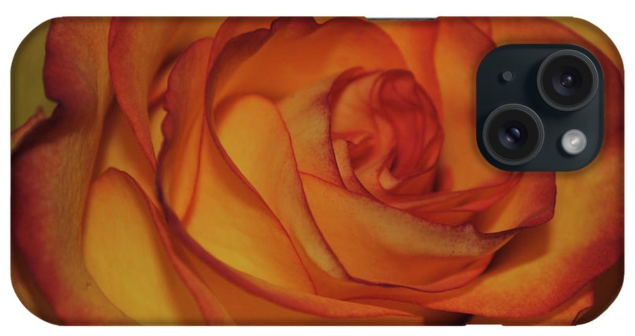 Orange Rose Portrait - Phone Case