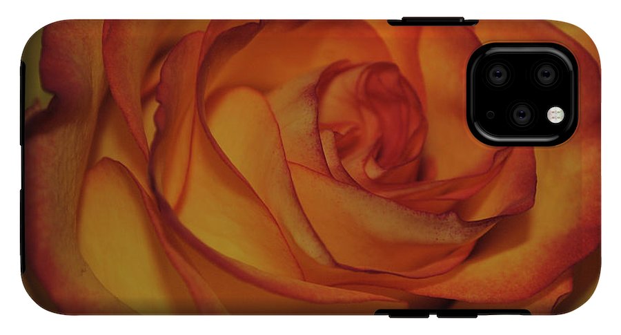 Orange Rose Portrait - Phone Case