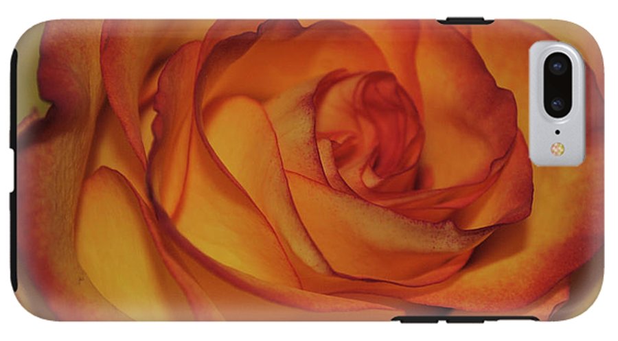 Orange Rose Portrait - Phone Case
