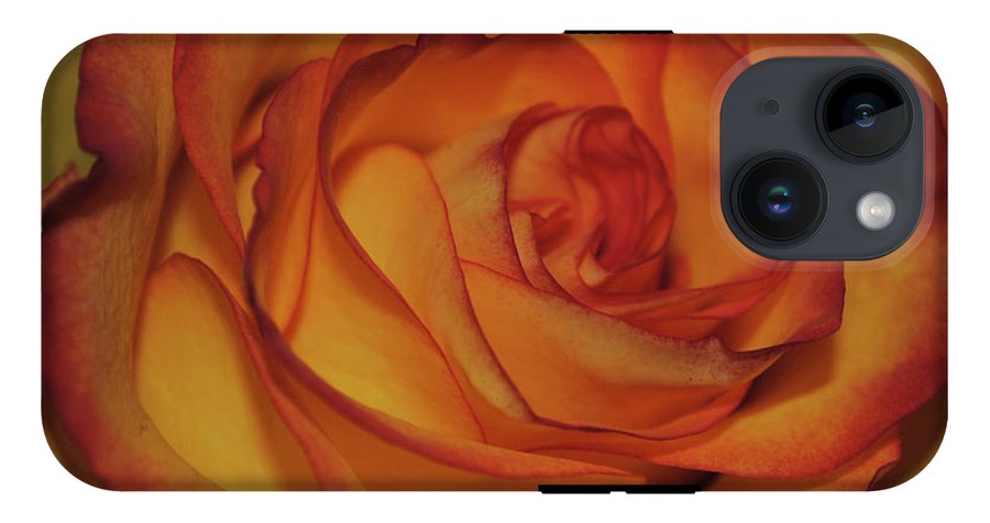 Orange Rose Portrait - Phone Case