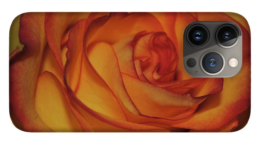 Orange Rose Portrait - Phone Case