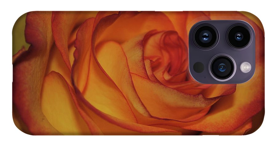 Orange Rose Portrait - Phone Case