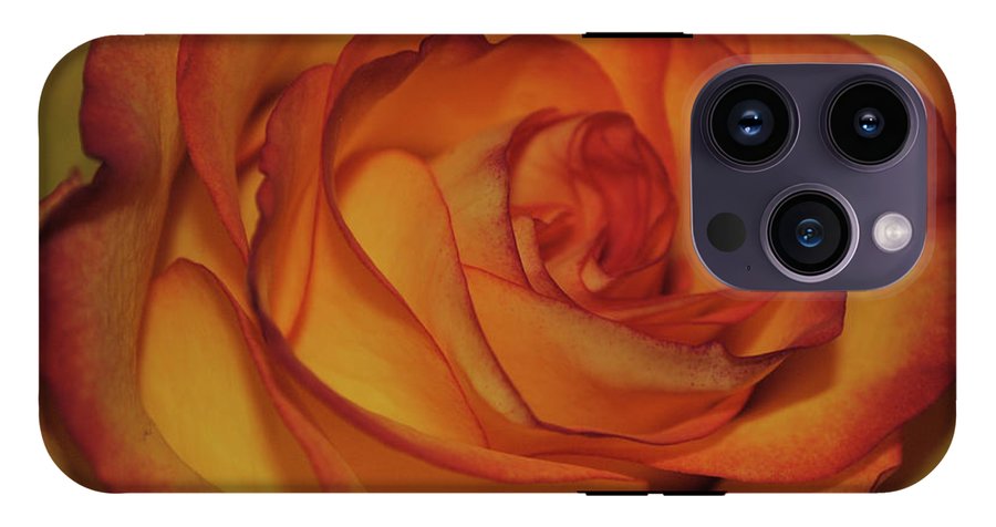 Orange Rose Portrait - Phone Case