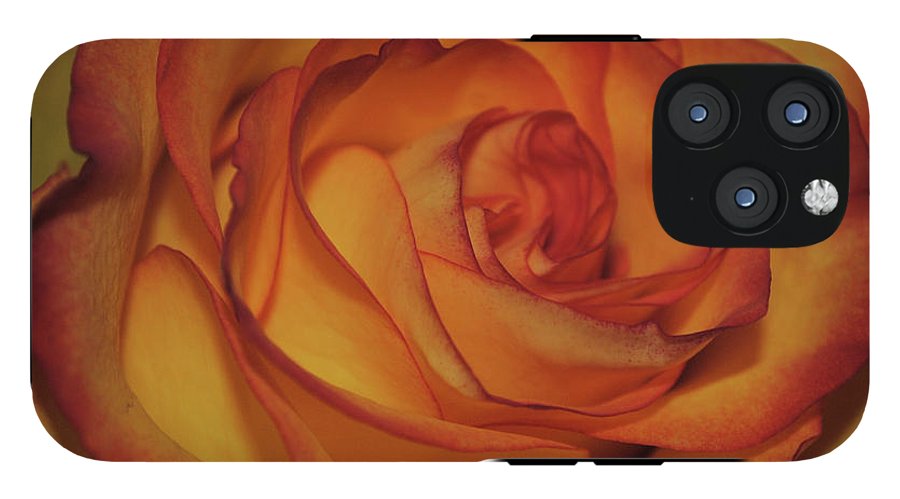 Orange Rose Portrait - Phone Case