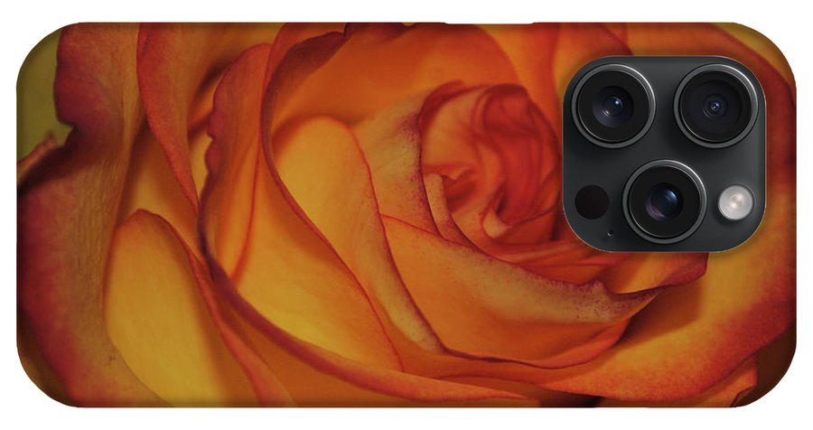 Orange Rose Portrait - Phone Case