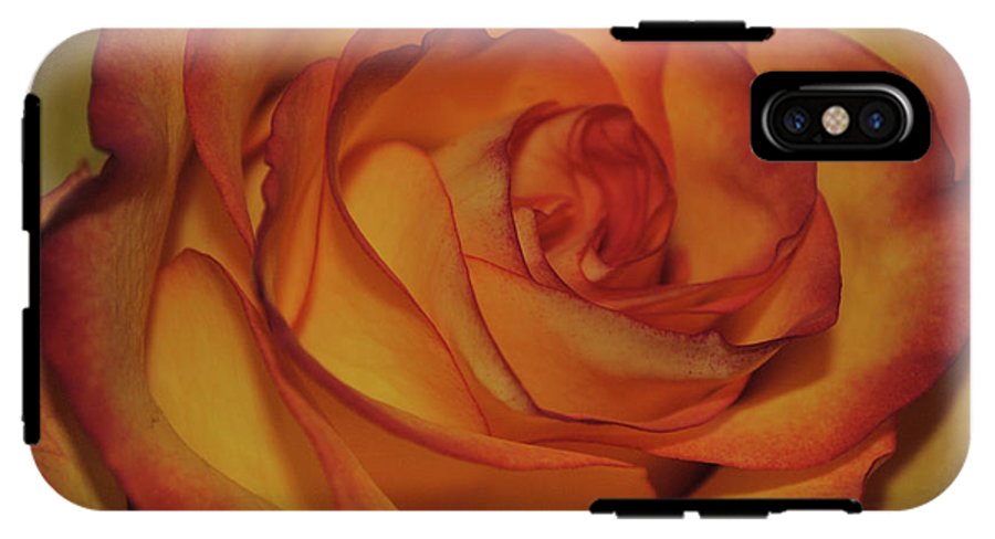 Orange Rose Portrait - Phone Case