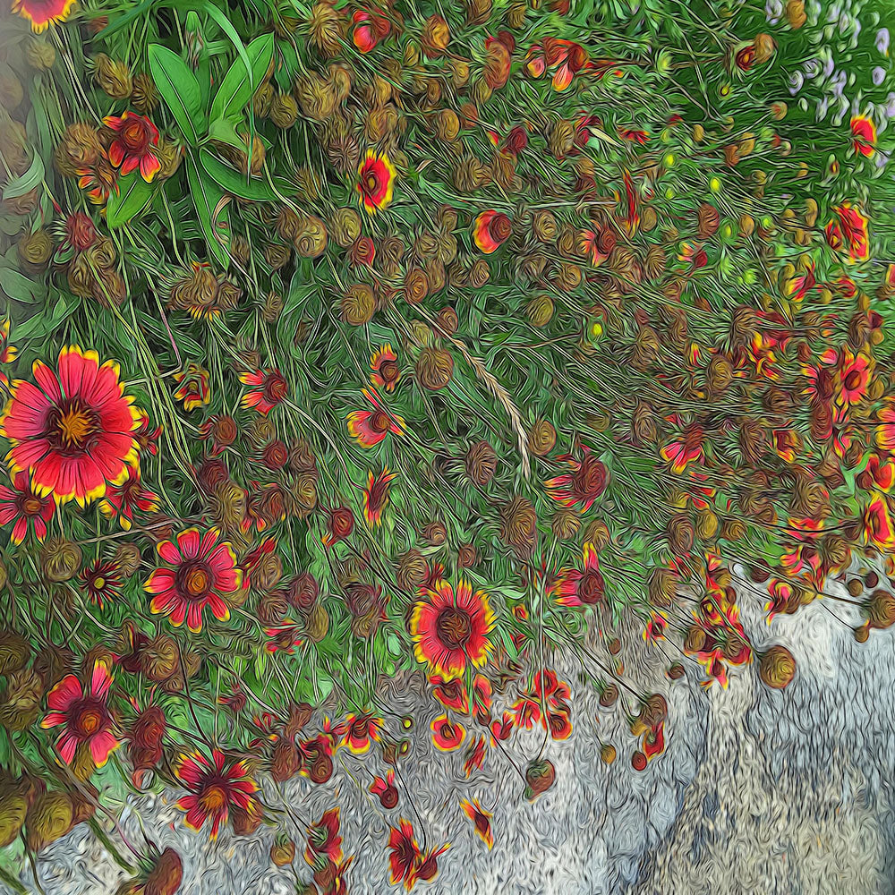 Orange Flower Garden Digital Image Download
