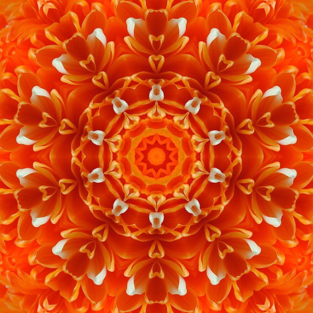 Orange Petals Kaleidoscope Digital Image Download