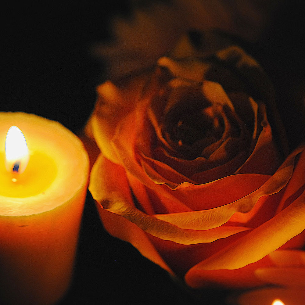Orange Rose Candlelight Digital Image Download
