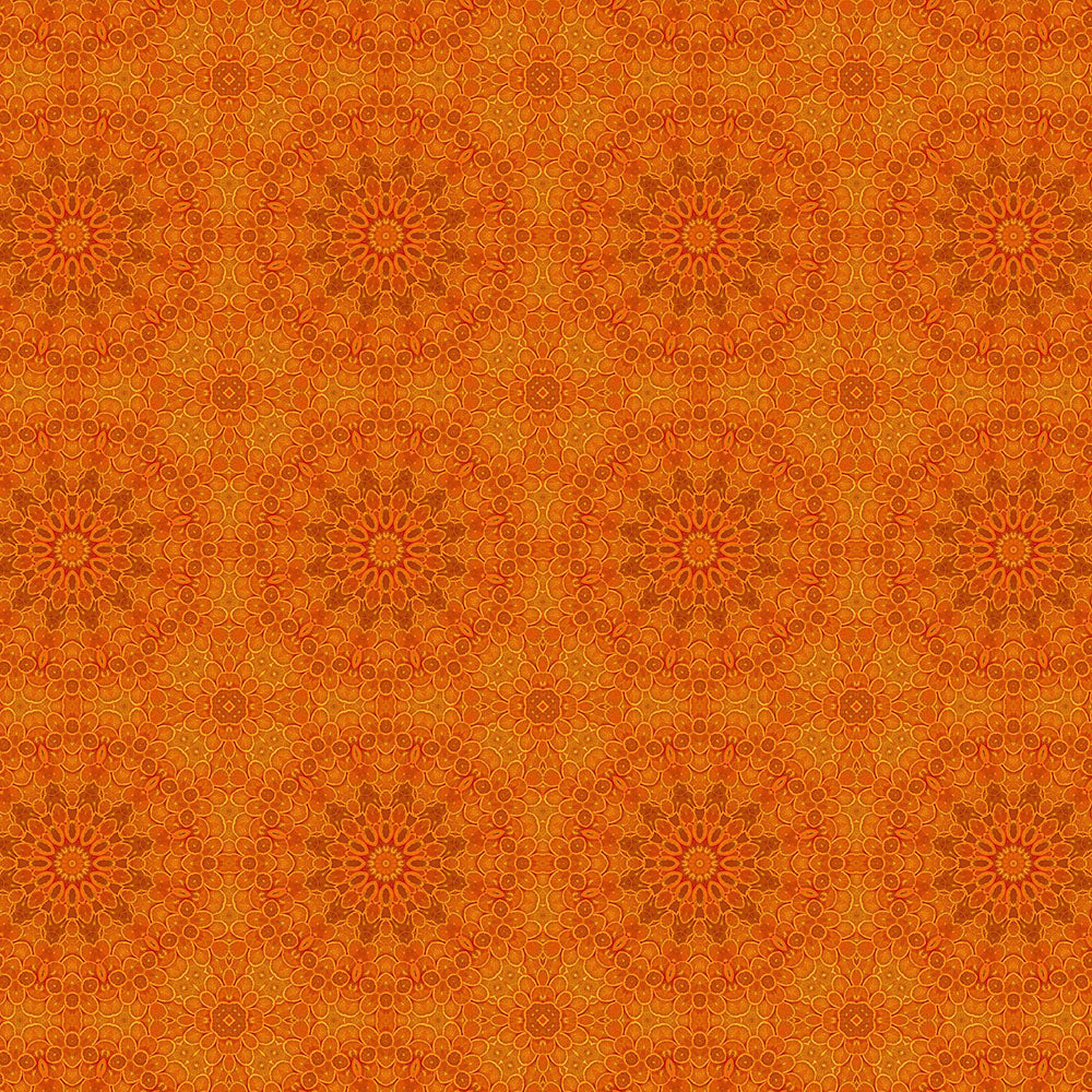 Sliced Oranges Kaleidoscope Digital Image Download