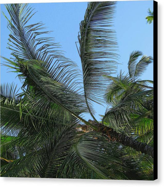 Palm Tree - Canvas Print
