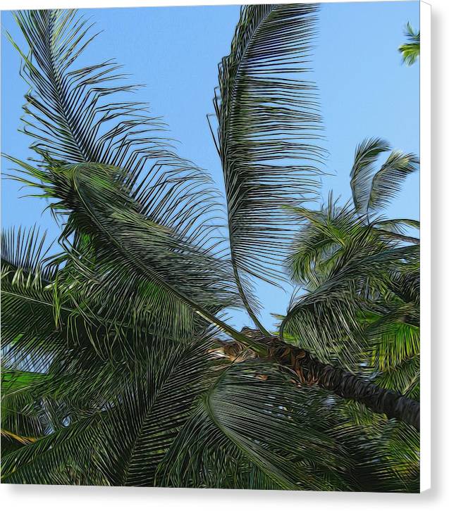 Palm Tree - Canvas Print