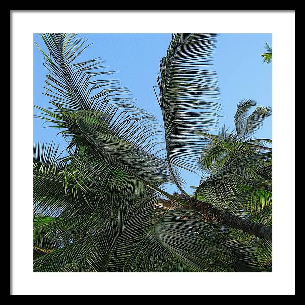 Palm Tree - Framed Print