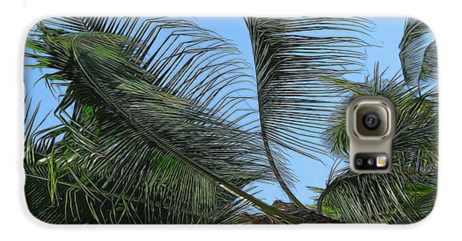 Palm Tree - Phone Case