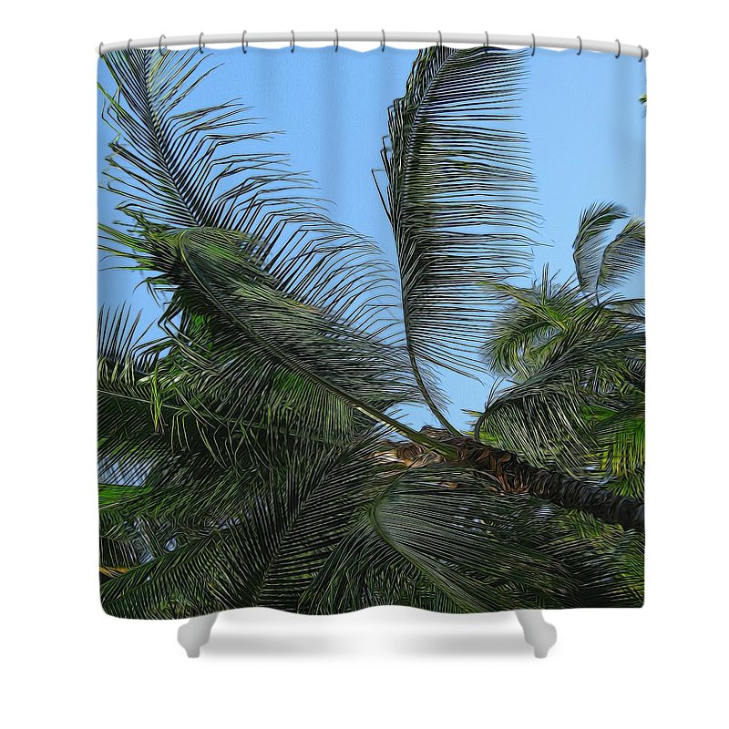 Palm Tree - Shower Curtain