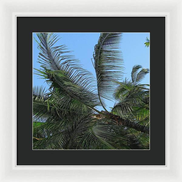 Palm Tree - Framed Print