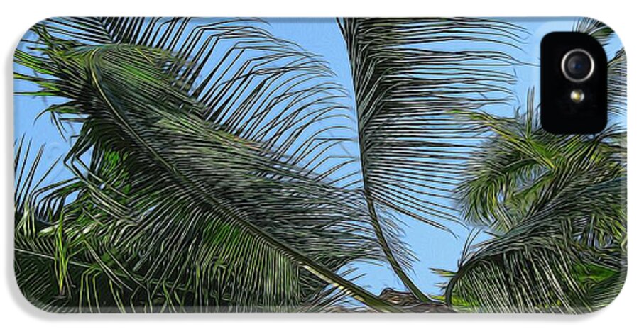 Palm Tree - Phone Case