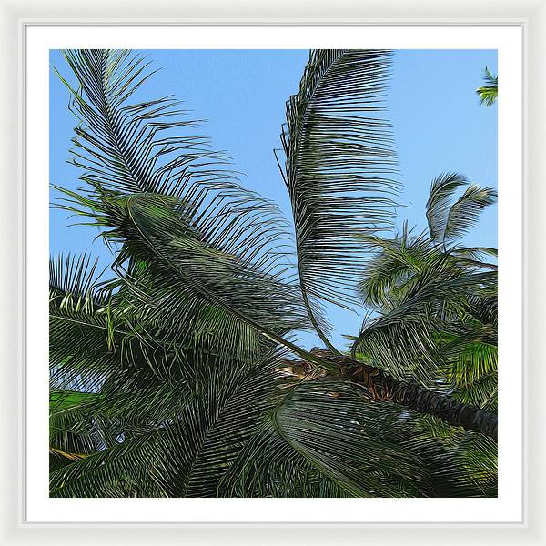 Palm Tree - Framed Print