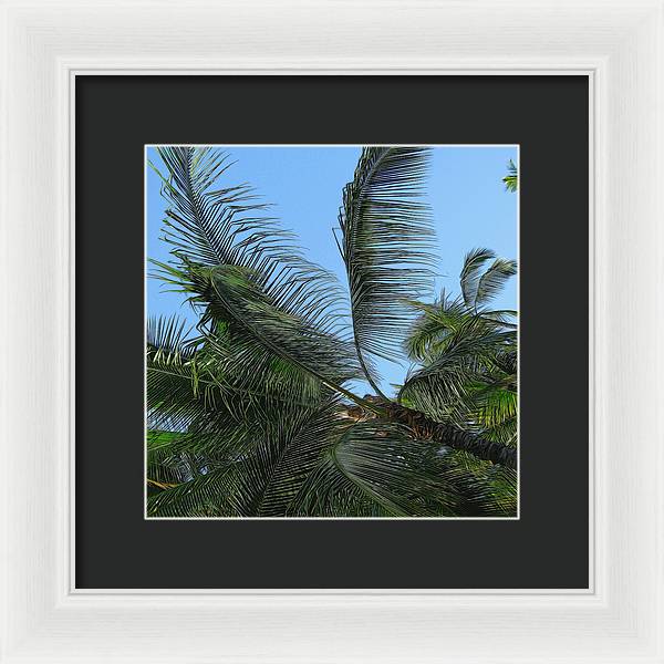 Palm Tree - Framed Print