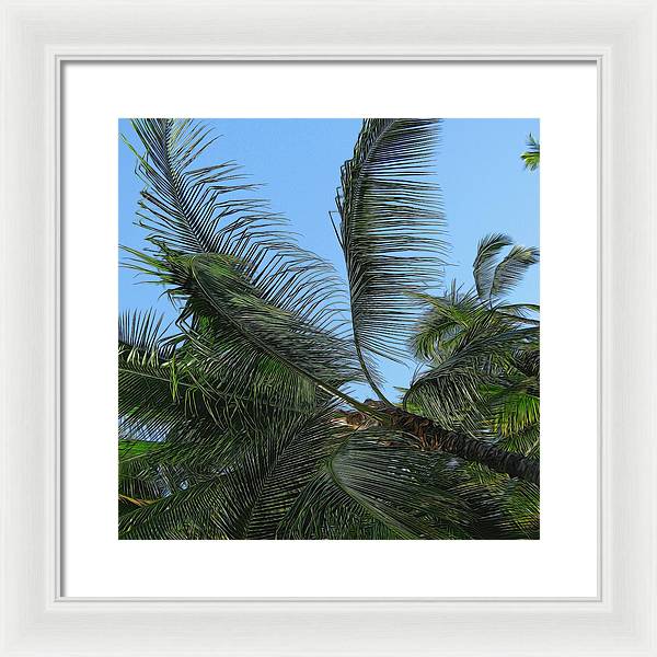 Palm Tree - Framed Print