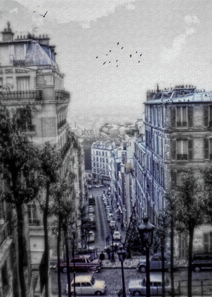 Paris Street From Above - Puzzle
