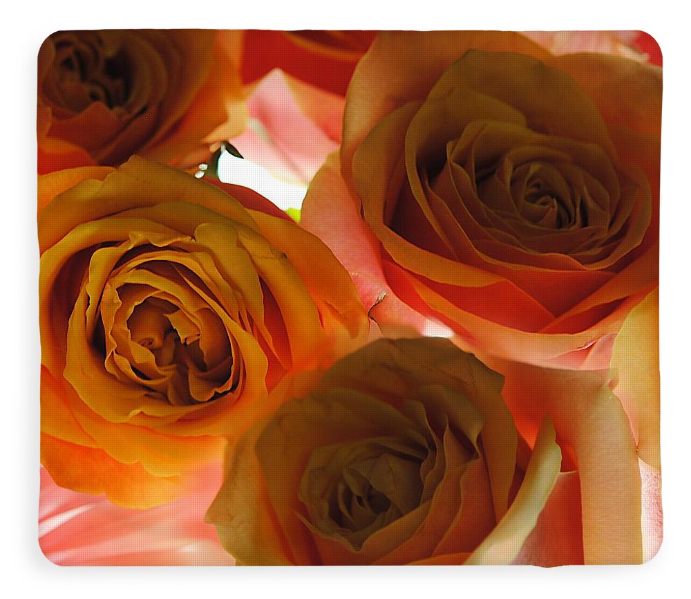Pastel Pink and Orange Roses on White - Blanket