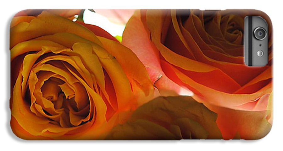 Pastel Pink and Orange Roses on White - Phone Case